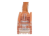 StarTech.com 100ft CAT6 Ethernet Cable, 10 Gigabit Snagless RJ45 650MHz 100W PoE Patch Cord, CAT 6 10GbE UTP Network Cable w/Strain Relief, Orange, Fluke Tested/Wiring is UL Certified/TIA - Närbild